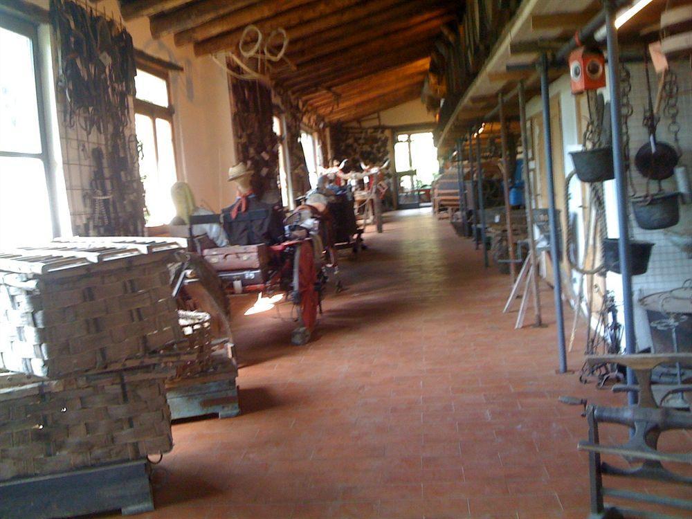 Villa Fattoria Di Castiglionchio à Rosano  Extérieur photo